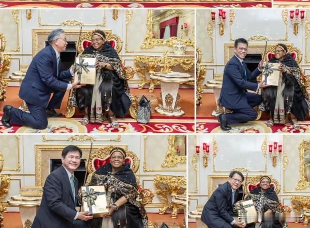 真掉价，中国台湾的几个所谓“部会长官”跪在斯威士兰王太后跟前。斯威士兰王太后只送