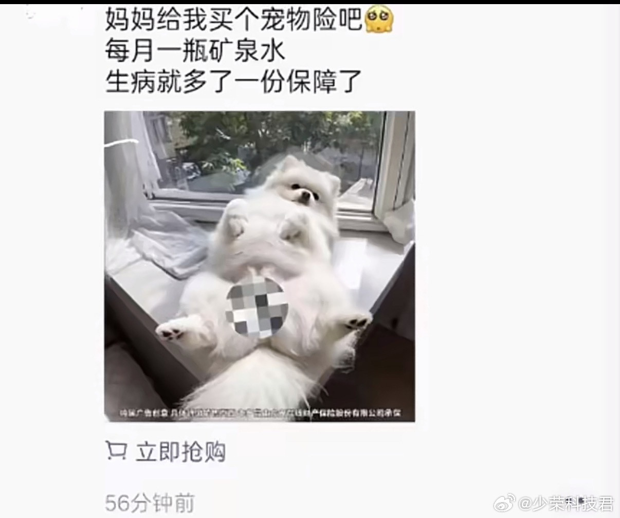 宠物险广告把女性私处P图狗身上给宠物买宠物险的用户大部分都是女性，又想赚钱又想恶
