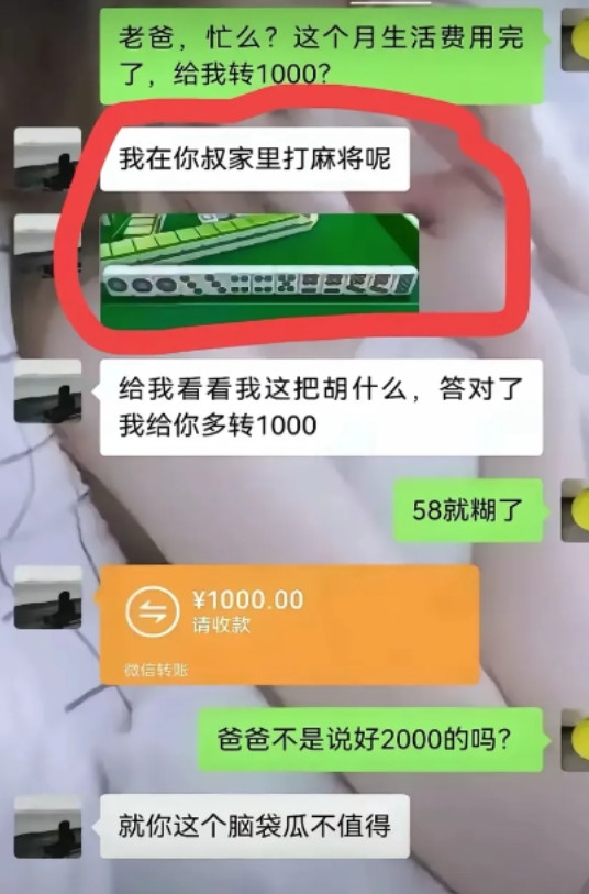 老爸这是什么意思？觉得我傻吗？
