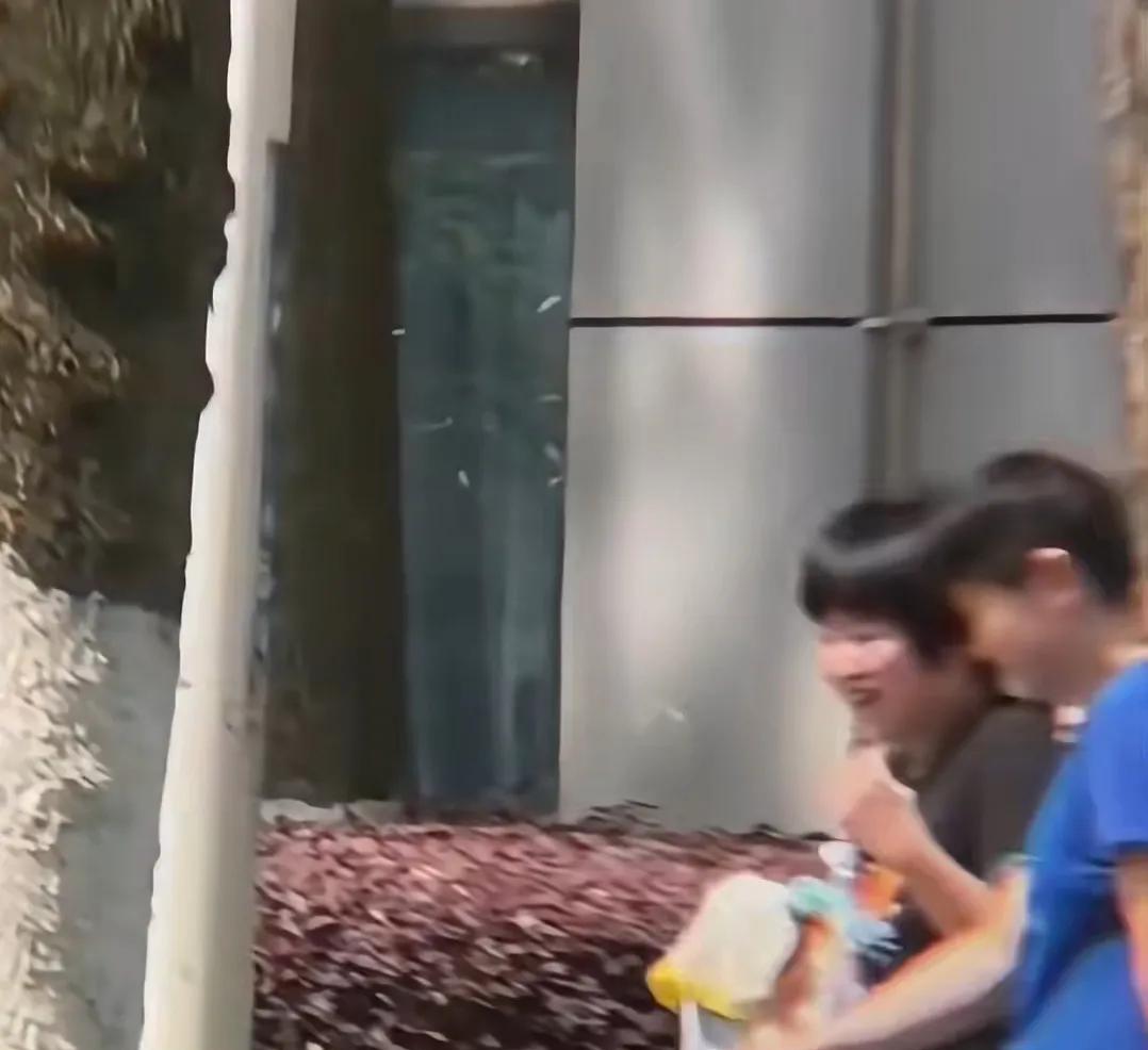 莎莎和小姐妹嘻嘻哈哈去上训。前方挂在树上的人参果传来高糊图片，莎莎去上训了，同