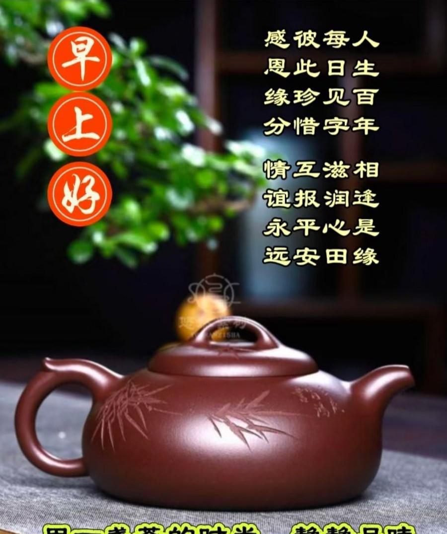 [玫瑰]早上好[玫瑰]用一盏茶的时光，静静品味生活。心素如简，人素如茶。