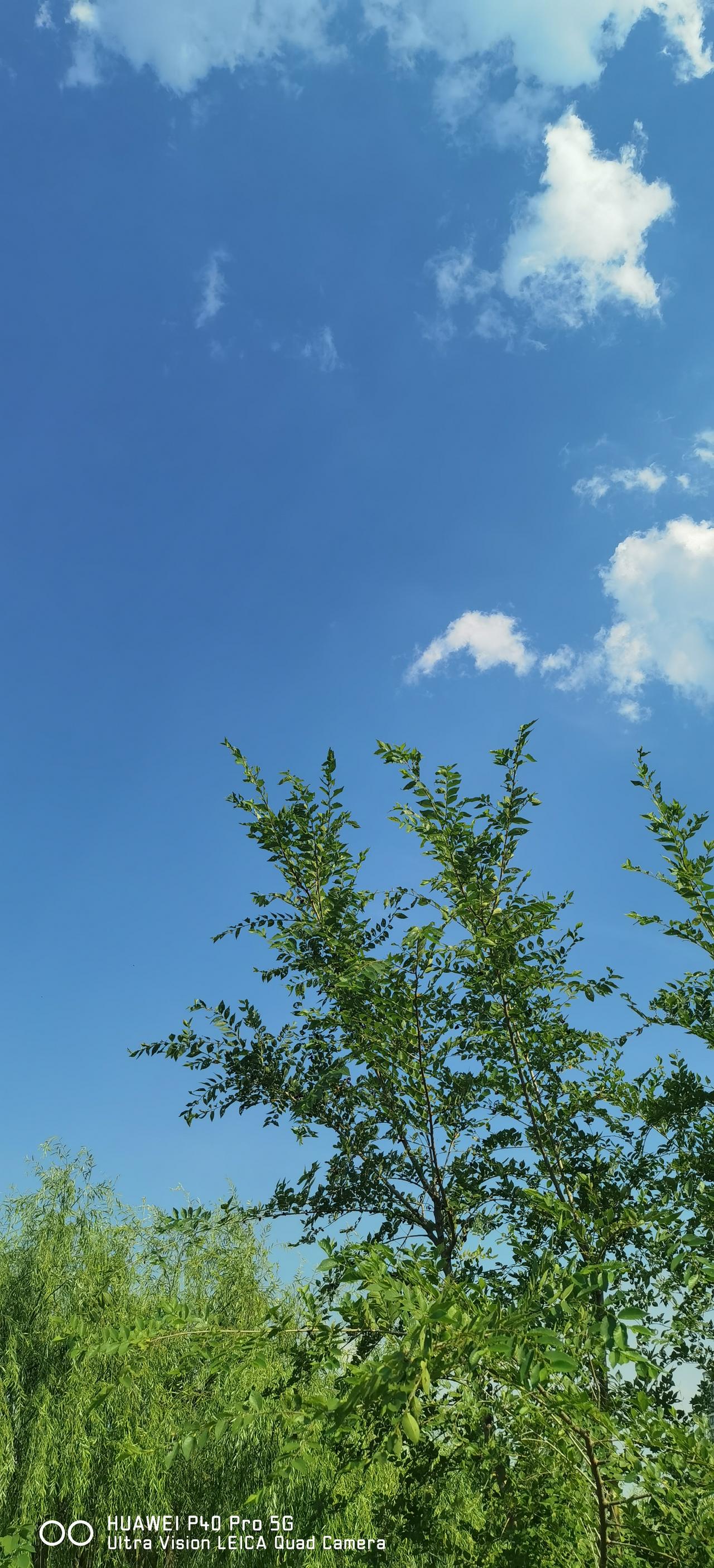 受贿数额特别巨大！脑补了一下，在我国的现行法律中，受贿数额在300万元以上，就属