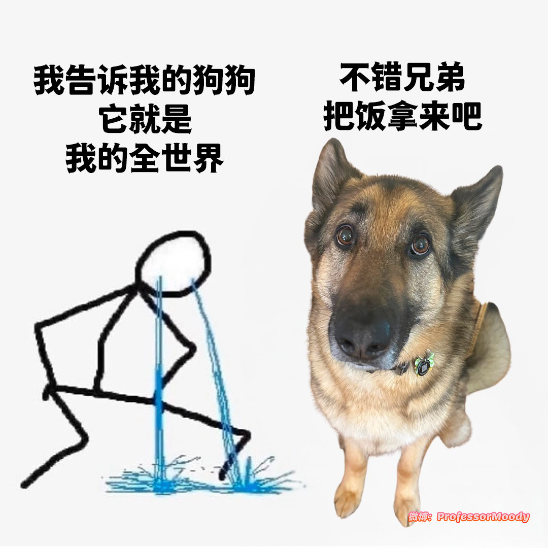 是这样的meme​​​