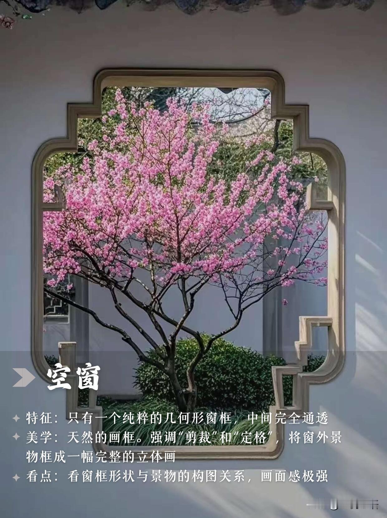 苏州园林的空窗真的是独一无二造园师是把浪漫刻进骨子里了～空窗像个天然画框，