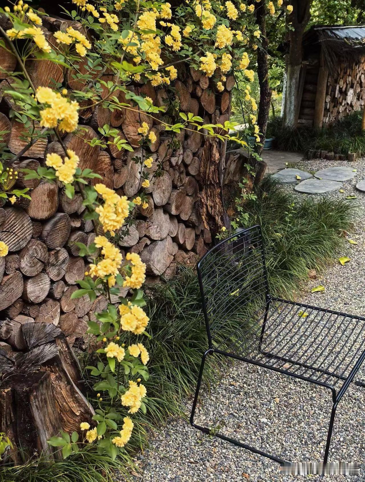 一个快五十的女人叹息，这辈子自己最想体验到的一种感觉，应该是什么？和王花花喝酒