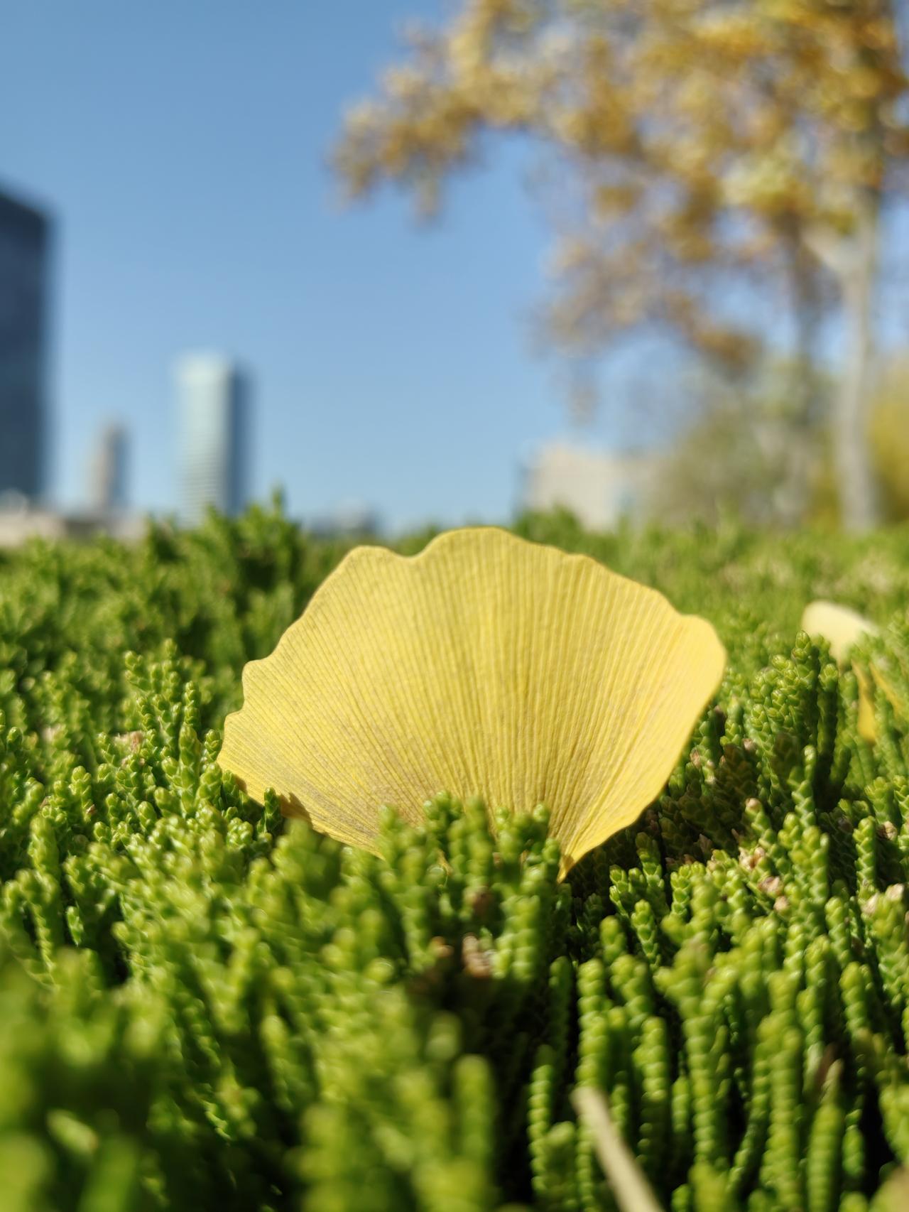 50岁以后才明白:一个女人最好的归宿不是嫁的好，而是自己有持续赚钱的能力。很