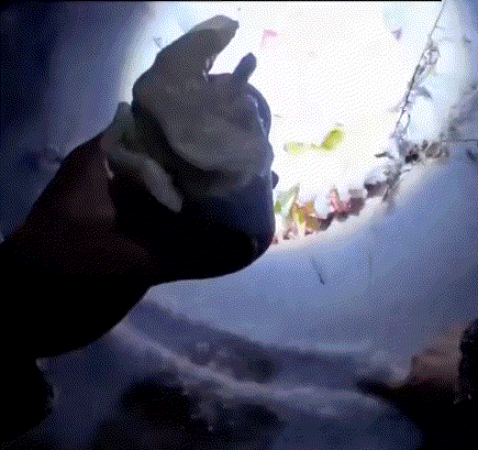 看哭了，河南，男子一家煮饺子吃，饺子熟后在盛饺子时，饺子掉了两回，起初男子也没在