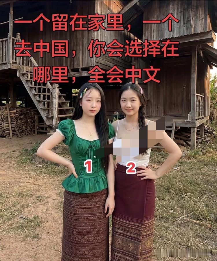 右边的最漂亮，不接受反驳！