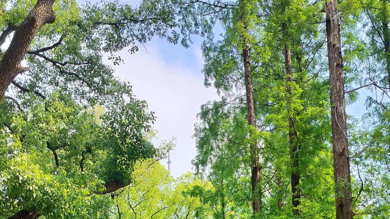 嘴是“伤人利器”？李玫瑾教授戳破育儿真相，家庭教育谨防语言暴力真正毁孩子的从不