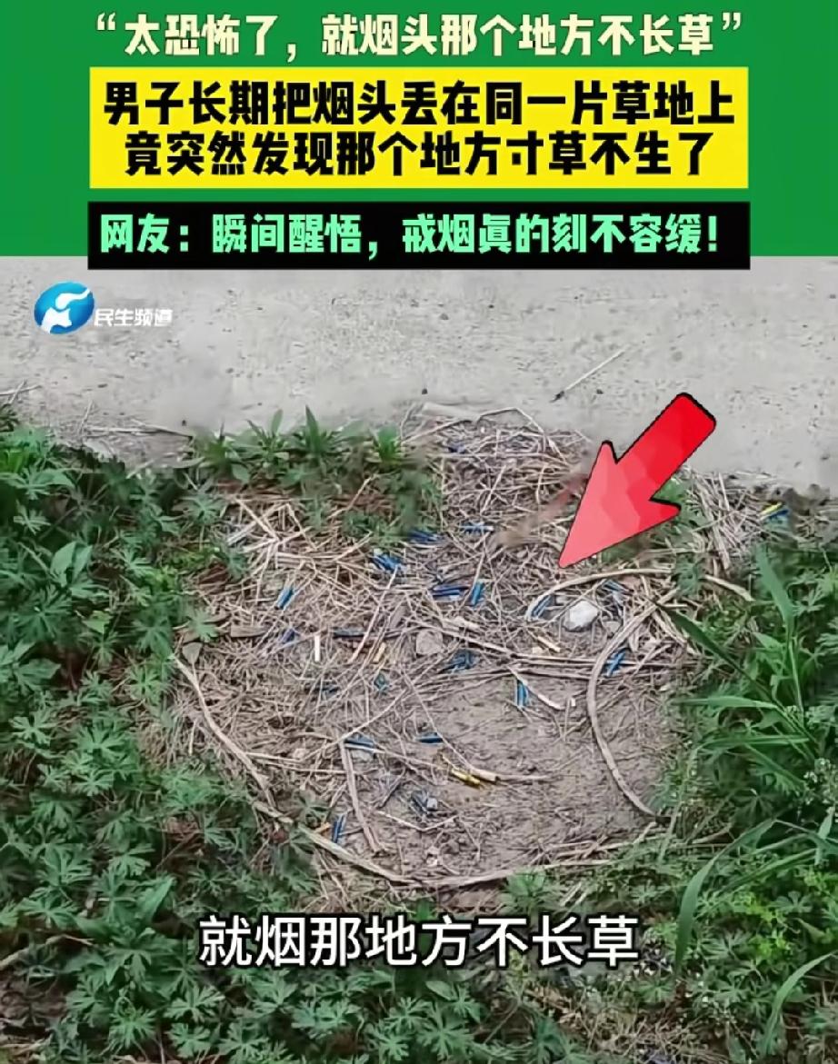 江苏男子五年烟头扔同一片草地，眼前一幕让他当场下定决心戒烟！很多人总觉得抽烟
