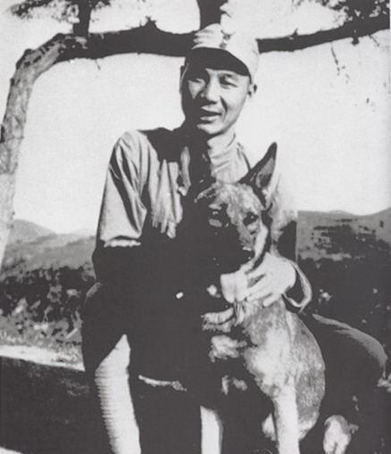 一分区部队有次端鬼子炮楼，缴获了一头狼犬，杨成武挺喜欢，养在司令部里，结果参谋长