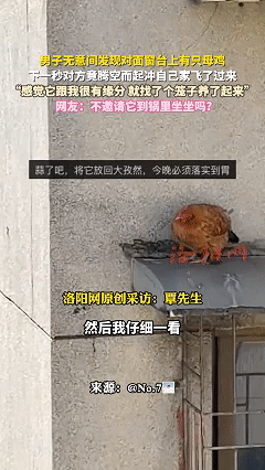 笑不活了，这也太有缘分了。近日广西，男子刚回到家里，女朋友就赶紧把男子拉到了床边