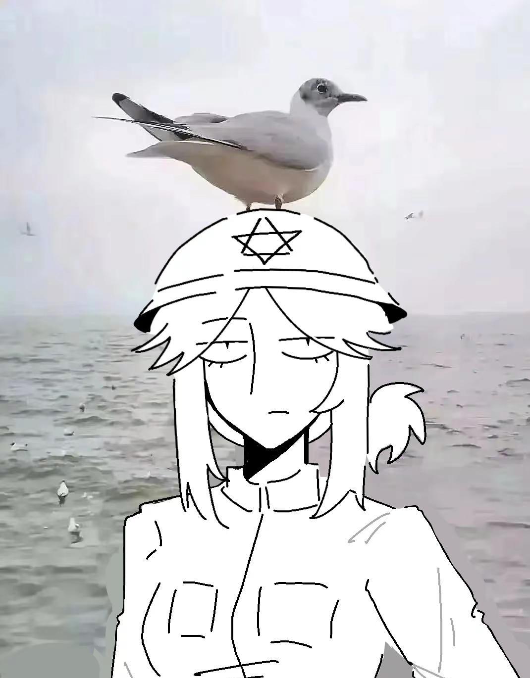 梗图真好玩。女人。海边。头顶。海鸥。ongezellingongezellin