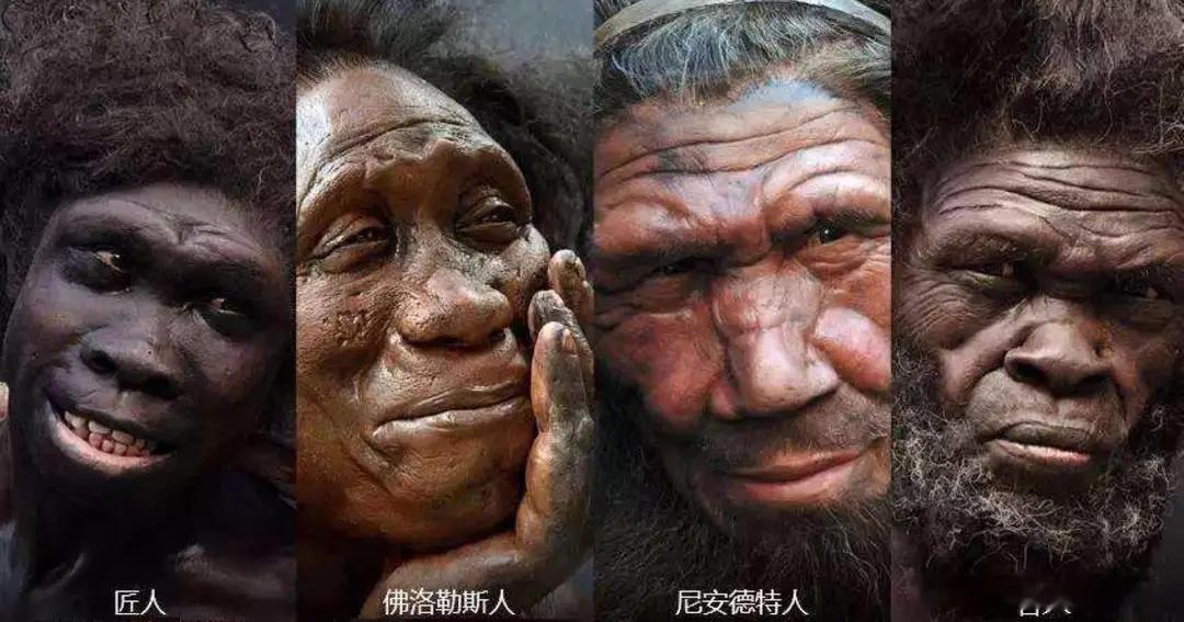 两个智人都打不过一个尼安德特人！为何尼人会灭绝。因为三个打他一个！昨天看一个纪录