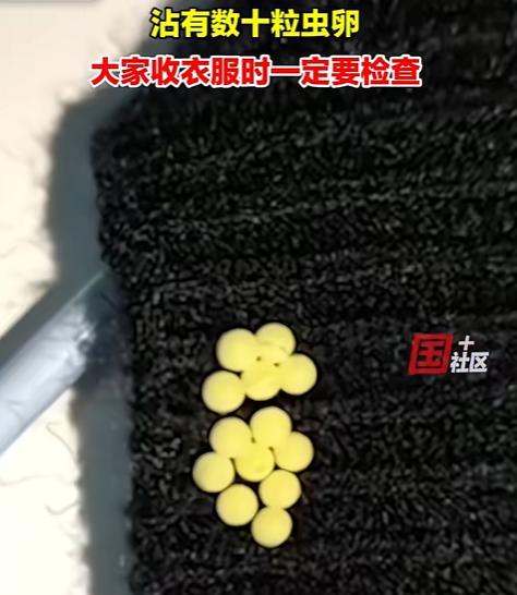 “细思极恐！”广东一女子收衣服，衣物上竟有黄色不明液体！她还好奇伸手捏了一下！谁