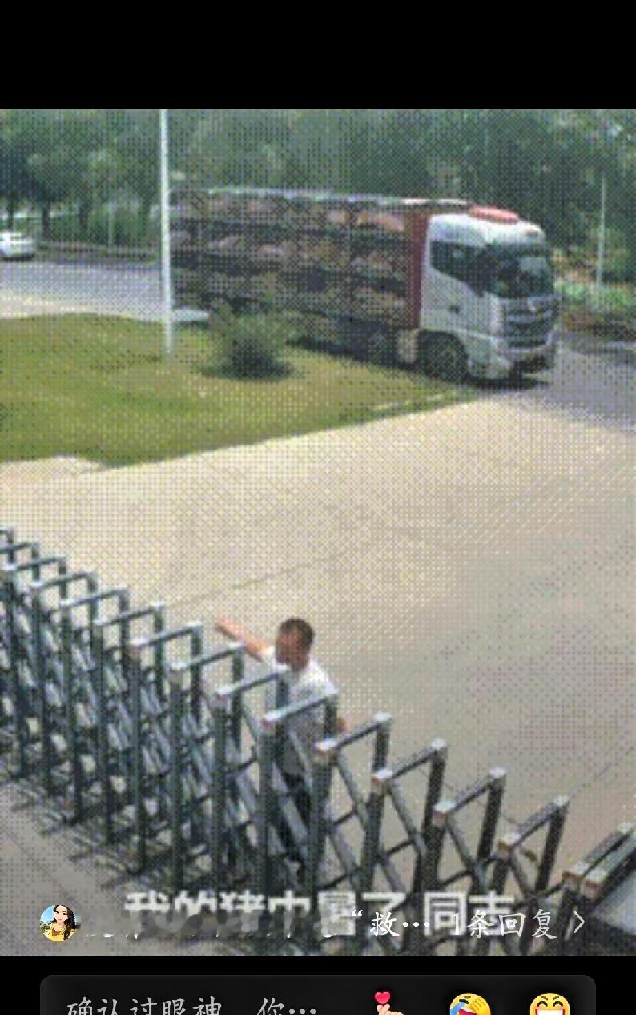 同志，“我的车上一百多头猪！全部中暑了！快不行了！”七月徐州持续高温，户外