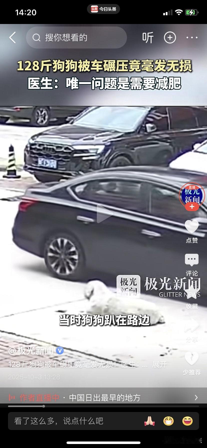 狗命真大，轿车从狗狗上碾压过去狗狗竟毫发无损。据极目新闻报道，2025年10月