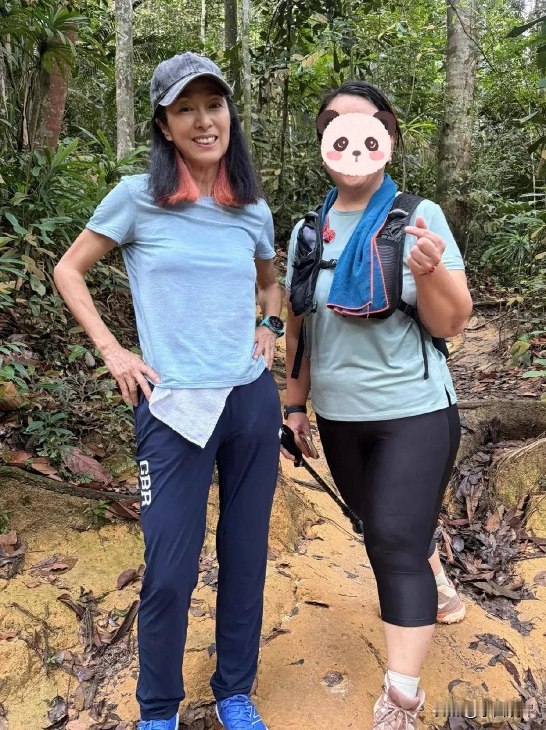 70岁的米雪依然保持着爬山的习惯，这已经成为她日常生活的一部分，即使是下雨天也很