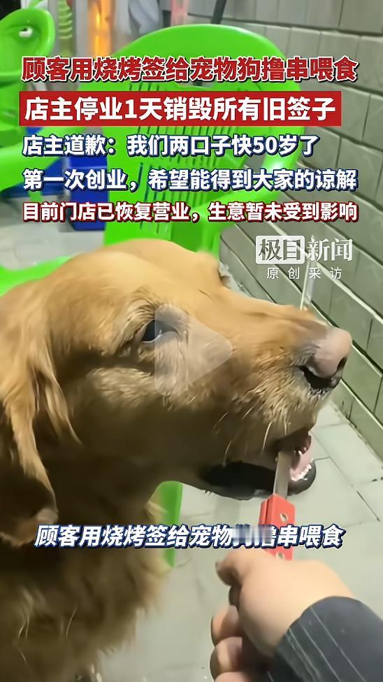 五一假期最让人膈应的事来了！内蒙古赤峰一家烧烤店，一位女顾客带着宠物狗进店吃饭，
