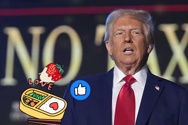 刚看到的新闻美国政府正式宣布了11月13日美国联邦政府宣布结束“停摆”恢