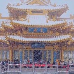 今儿个河南可真是“一夜入冬”，鹅毛大雪说来就来，那场面，跟老天爷开了个玩笑似的。