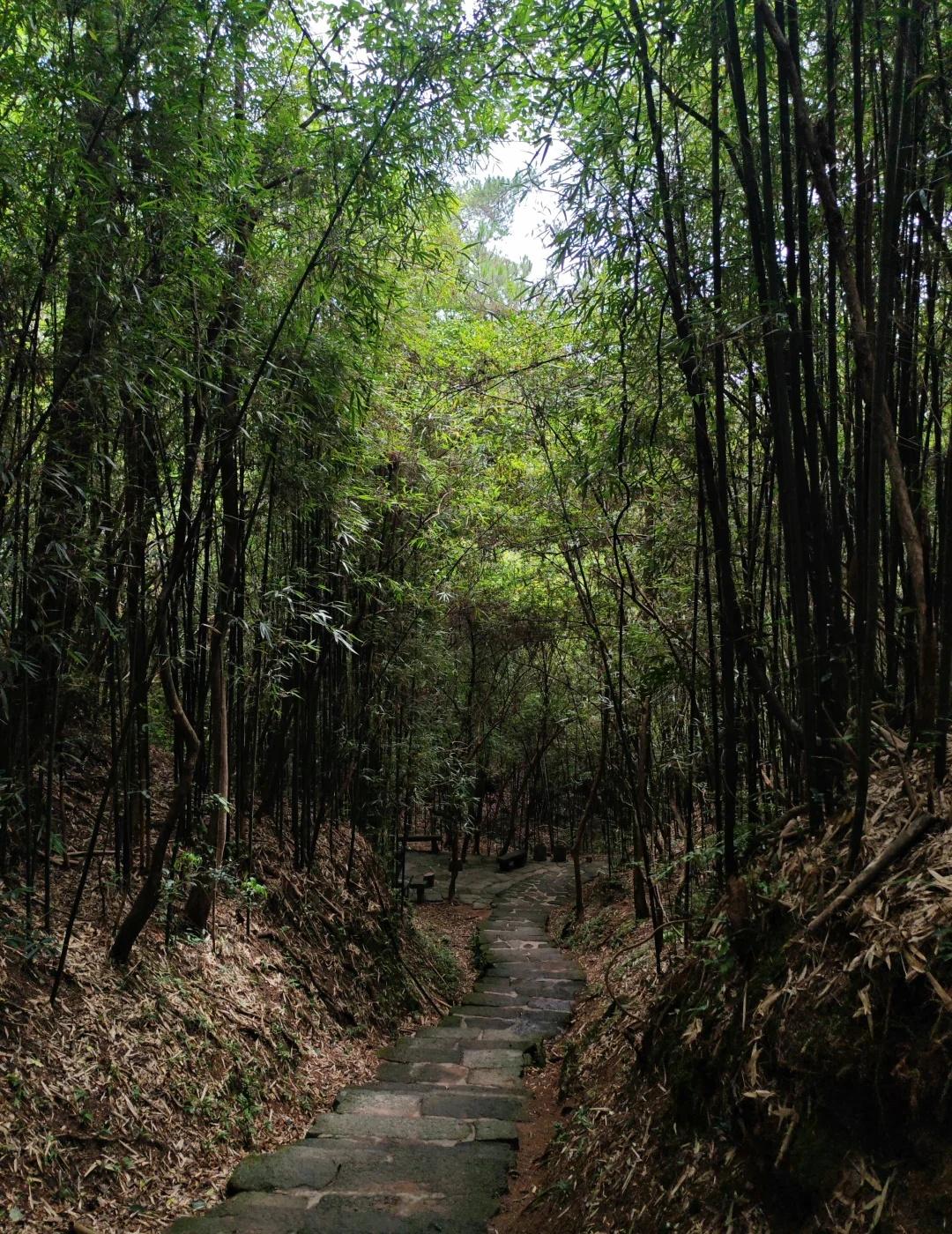 武夷山｜一篇帖子讲清楚绿野仙踪到底怎么走不上一线天、虎啸岩纯徒步版，适合低精力