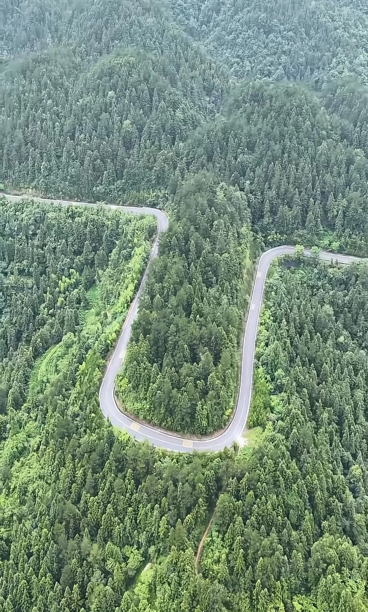 一条路修到了深山里，来了道n字形的大转弯，中间的小土堆也并不高，修直不到30米的