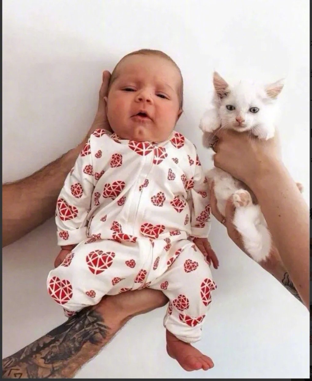 真缘分！怀孕妹子捡到怀孕流浪猫，他俩在同一天分娩…国外最近一个妹子和她的猫火了！