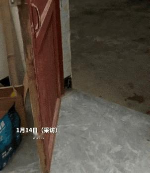 贵州一位女子家的猫咪，简直是好客界的“社交天花板”！晚饭时间，正埋头干饭的猫咪突