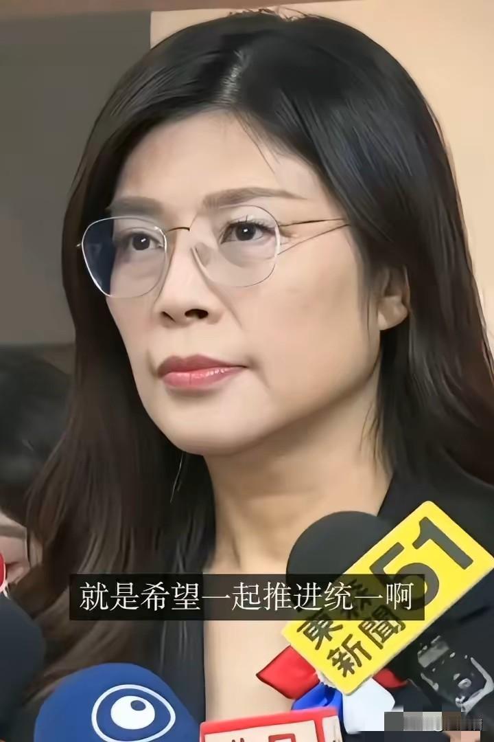 郑丽文：台湾统一要征求2300万岛民的意愿？无知网红靠哗众取宠，是不是光凭一张嘴
