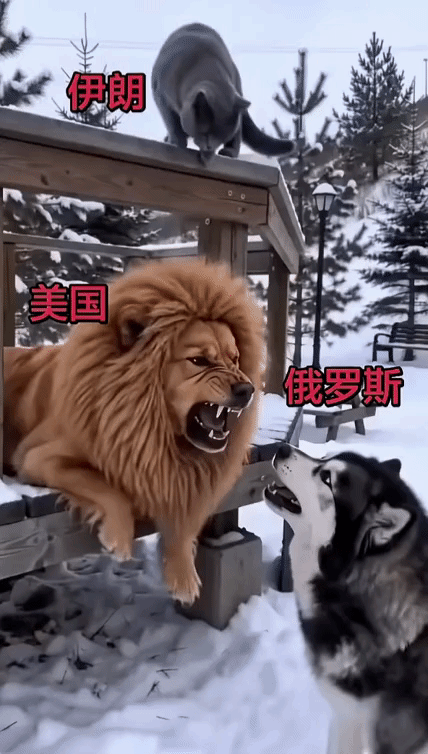 美伊现状