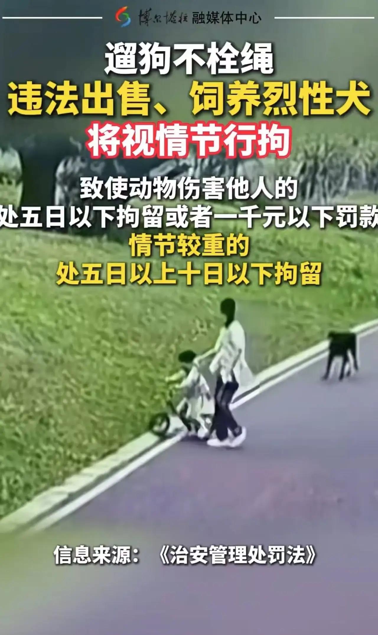 养狗的天要塌了！新规规定：遛狗不拴绳，导致狗咬人的，狗主人掏医药费不说，还要被拘