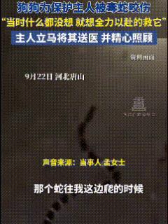 “太有灵性了！”河北唐山，女子回家路上发现一条毒蛇，还吐着蛇信子朝她爬来，女子不