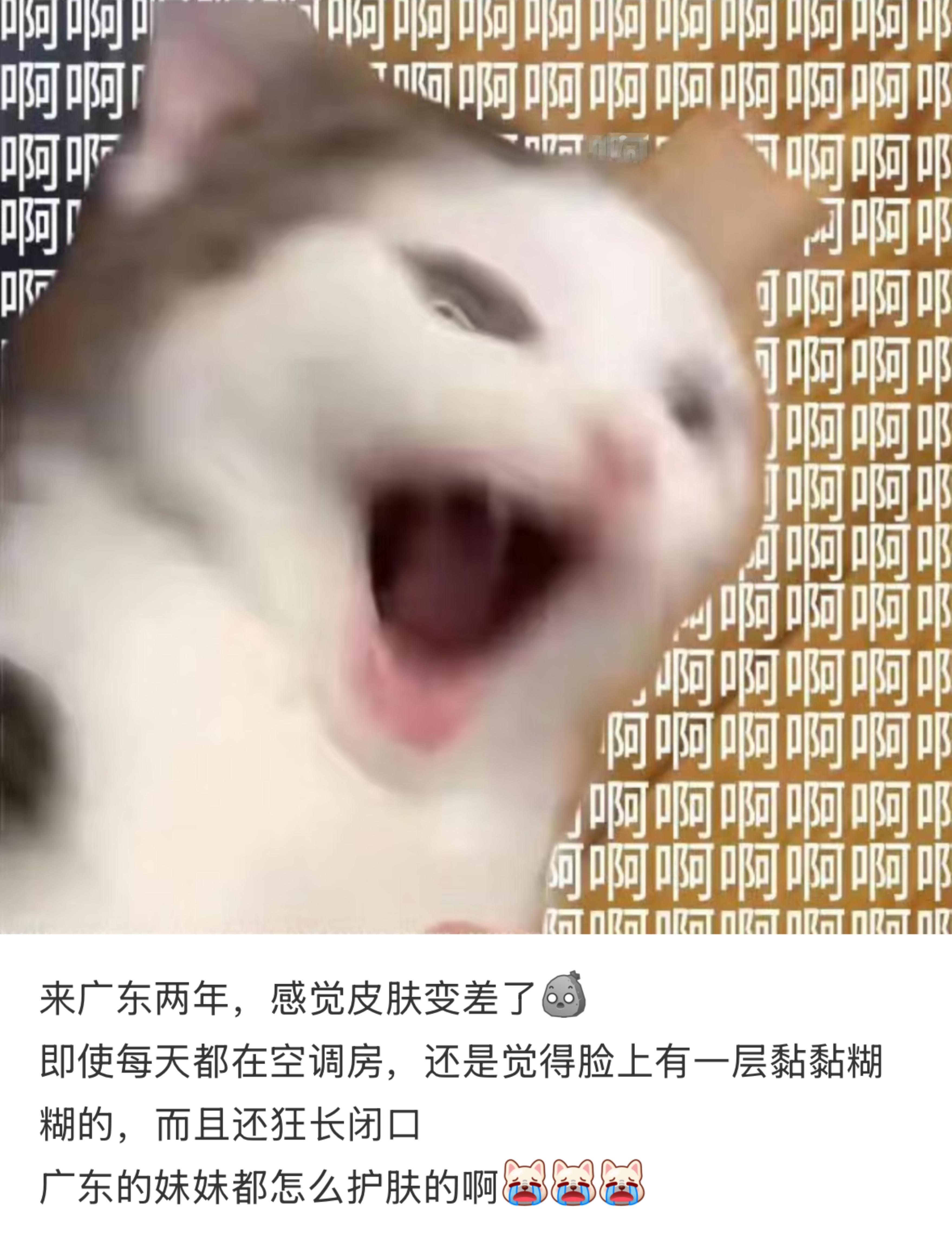 来广东两年，感觉皮肤变差了​​​
