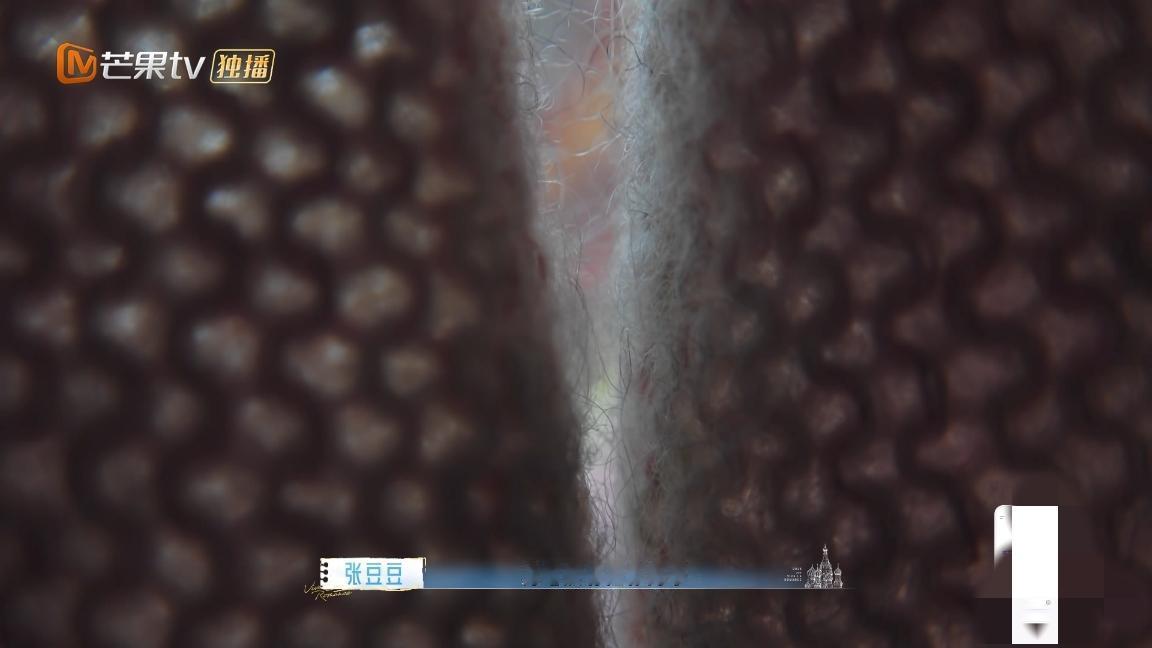 张豆豆说的对张豆豆跟孙杨说:“为什么我没有拉你的手，因为我一直都是这样的人，你