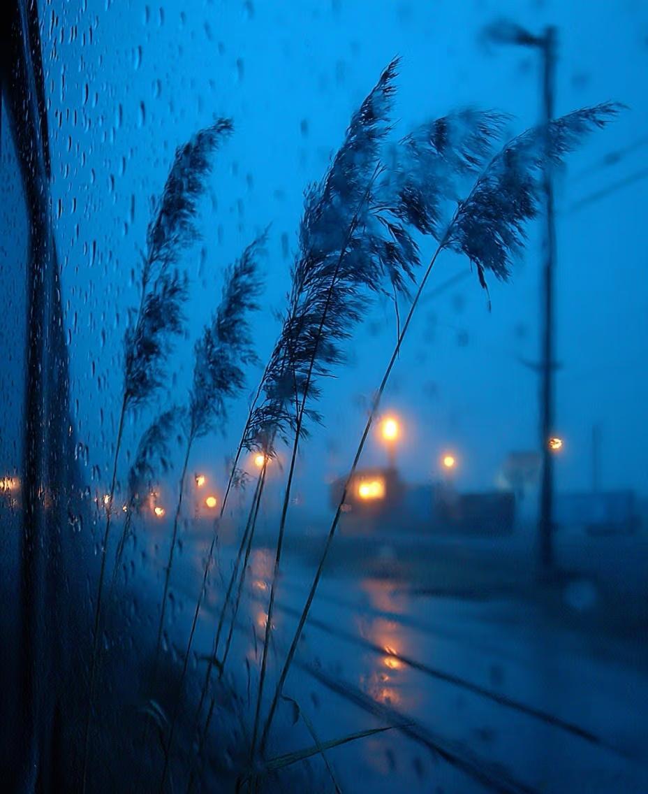 离婚后谁更后悔？不管是男人还是女人，只要中了这三条，多半会后悔：第一，离婚不离家