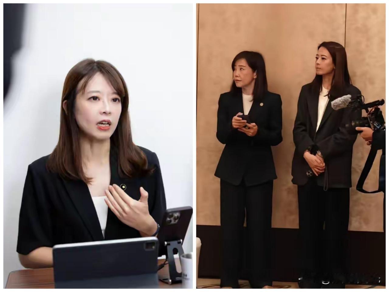 尹乃菁将辞去国民党文传会主委一职，谁能接替她，成为新任文传会主委，从目前来看，候