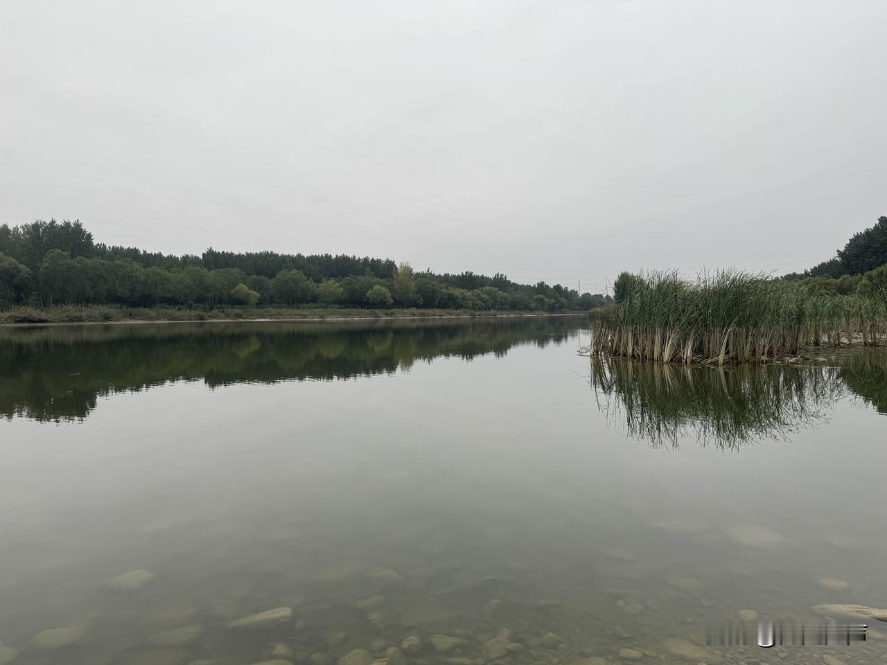 今天天气不错，去白浪河散步，很希望能看到春天的花朵。运气不太好，没有见到。但是