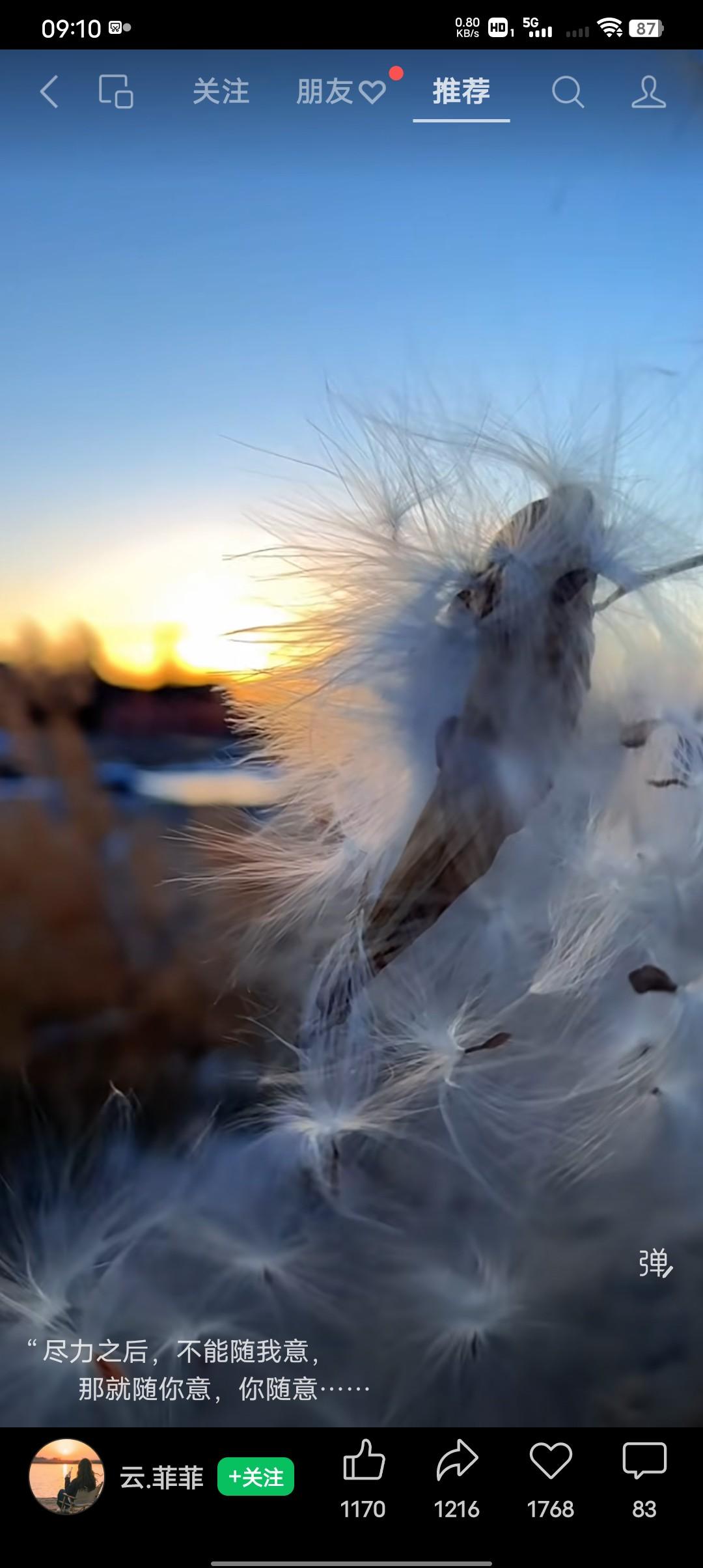 两个妈妈却各有不同，为要不要留下那个没出世的孩子大打出手。33岁的孕妈妈小杨，