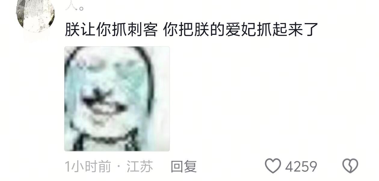 朕让你抓刺客谁让你抓朕爱妃的！​​​