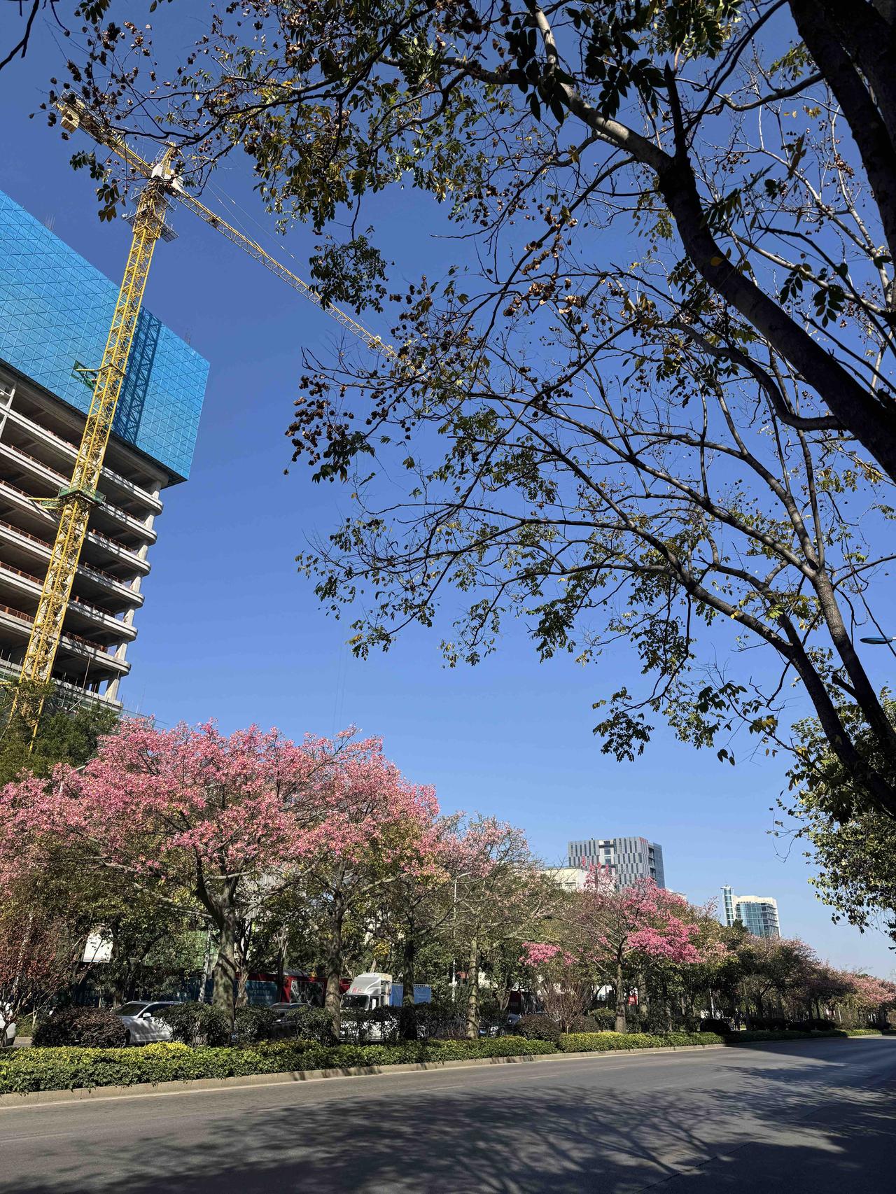 以后新房的价格应该不会降了！有人说，房价一旦进入下行通道，就会慢慢跌，要很多年才