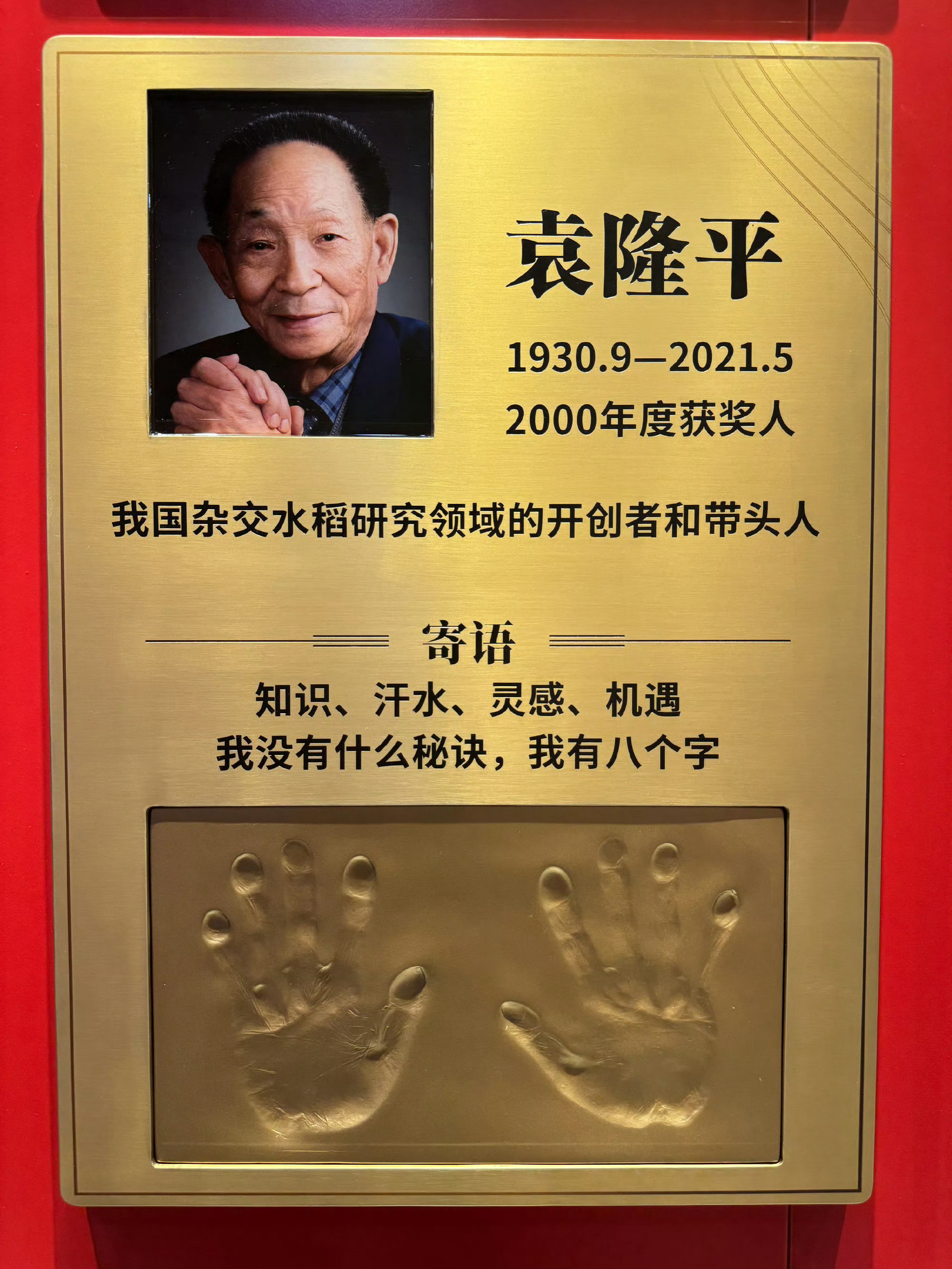 这才是国人最该追的星，致敬袁隆平院士！