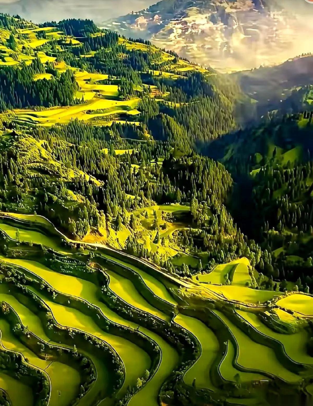 儿子建筑设计单位受行业不景气影响，自去年12月降薪后已5个月没发工资，不裁员不