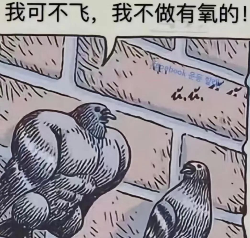 看来增肌的都不做有氧。[笑着哭][笑着哭]