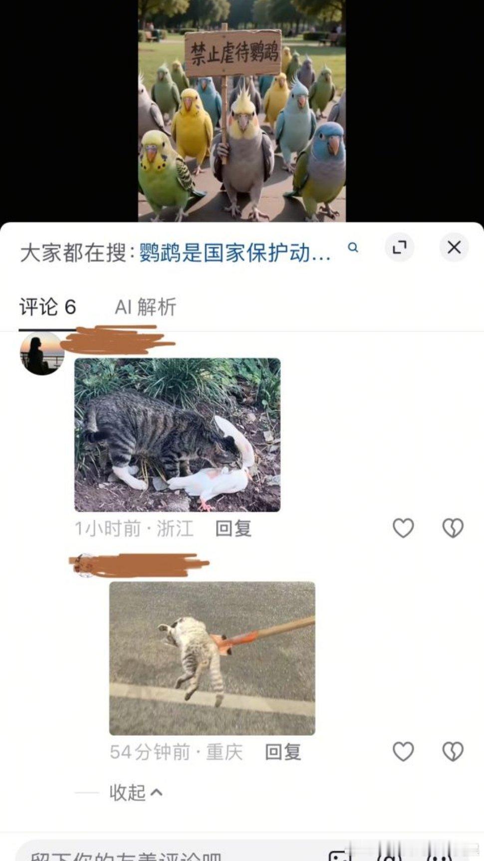 作者：只是呼吁不要虐待鹦鹉brO：虐待猫