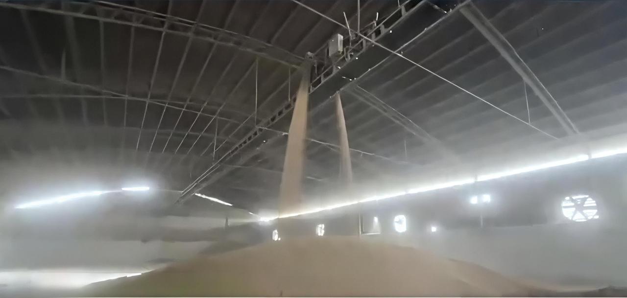 你知道吗？河南小麦种植面积超过8500万亩，占全国冬小麦产量的1/4！但今年麦收