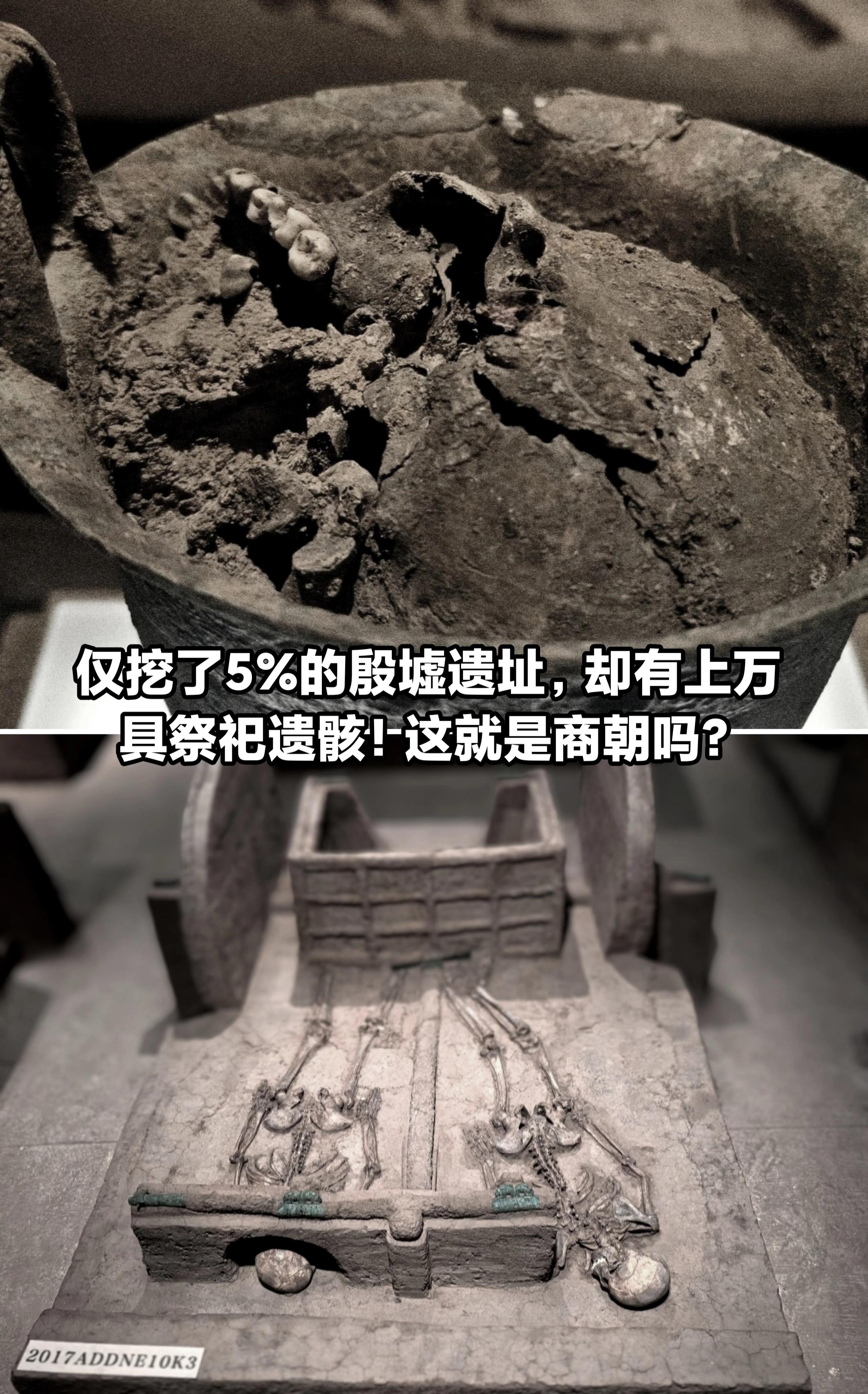 原来殷墟只挖了5%，却出土了上万具……