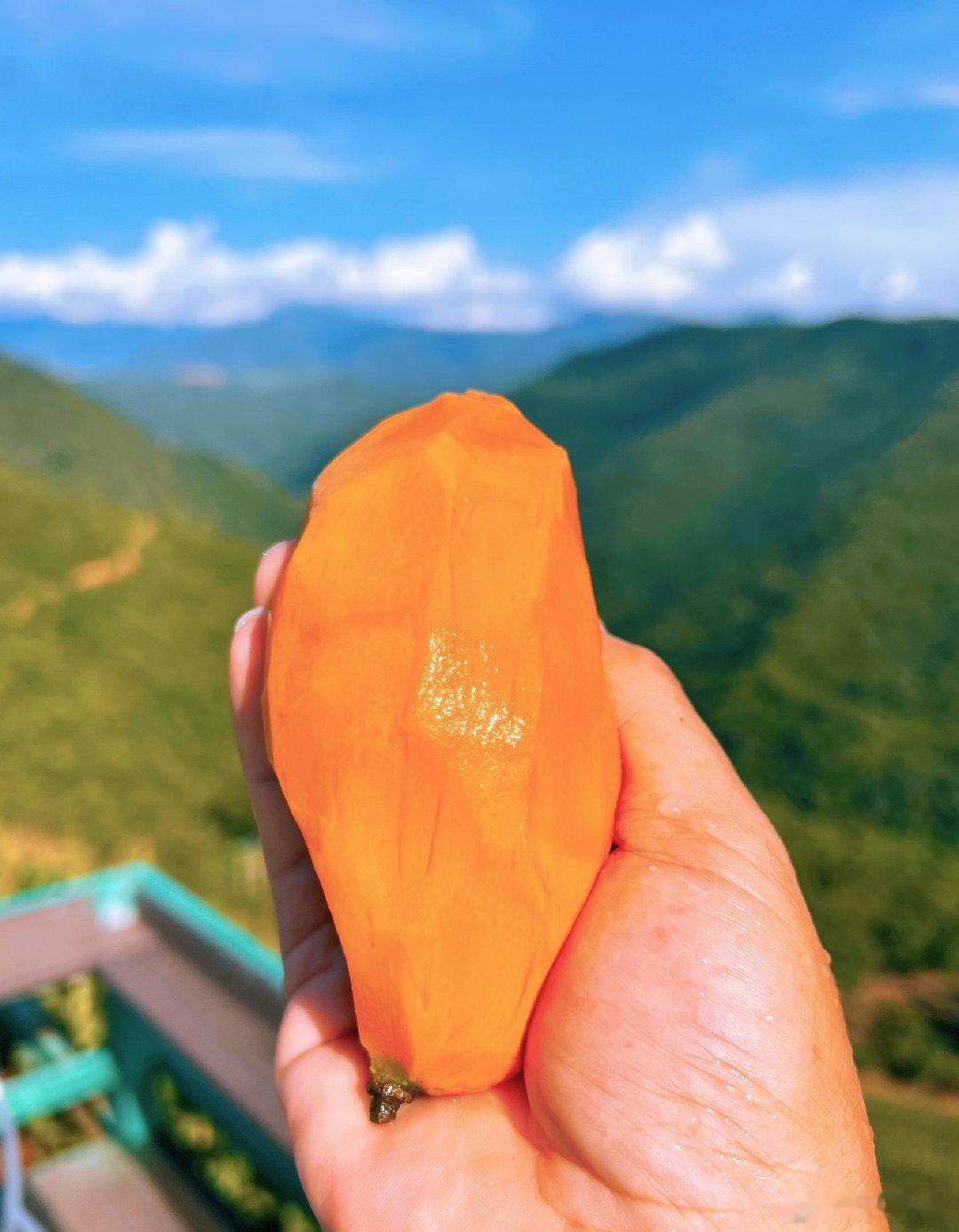 此时此刻吃货20260825。周二。七月十三。晌午四小古树一特大种植芒果🥭熟