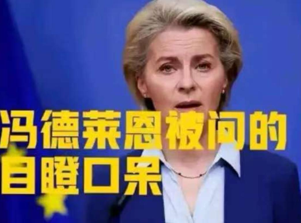 12月欧盟会议，冯德莱恩刚宣布“永久停购俄油气”，芬兰代表突然问：“若美方对委内