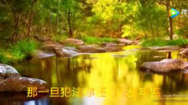 迟志强《四大劝》句句大实话